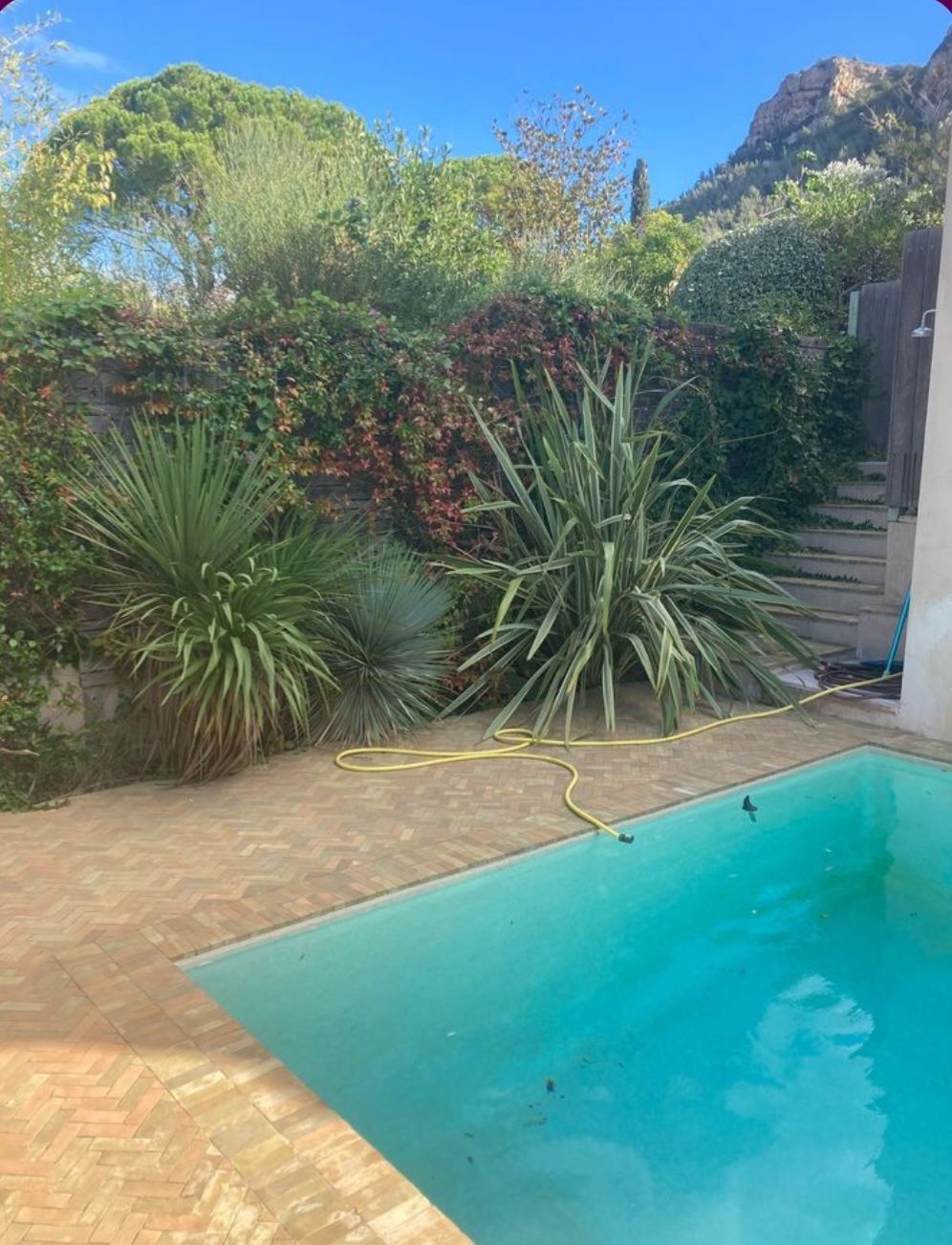 Entretien de plantes aux abords d'une piscine