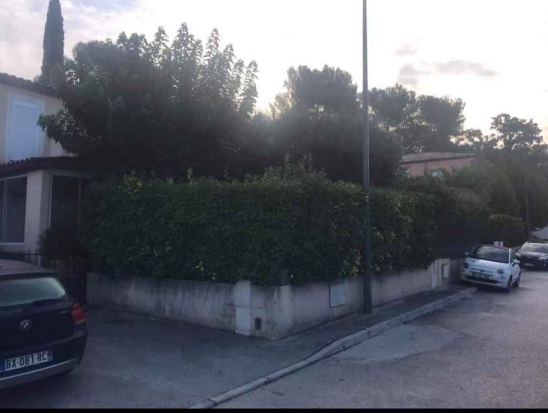 Haie non taillée d'une maison de lotissement