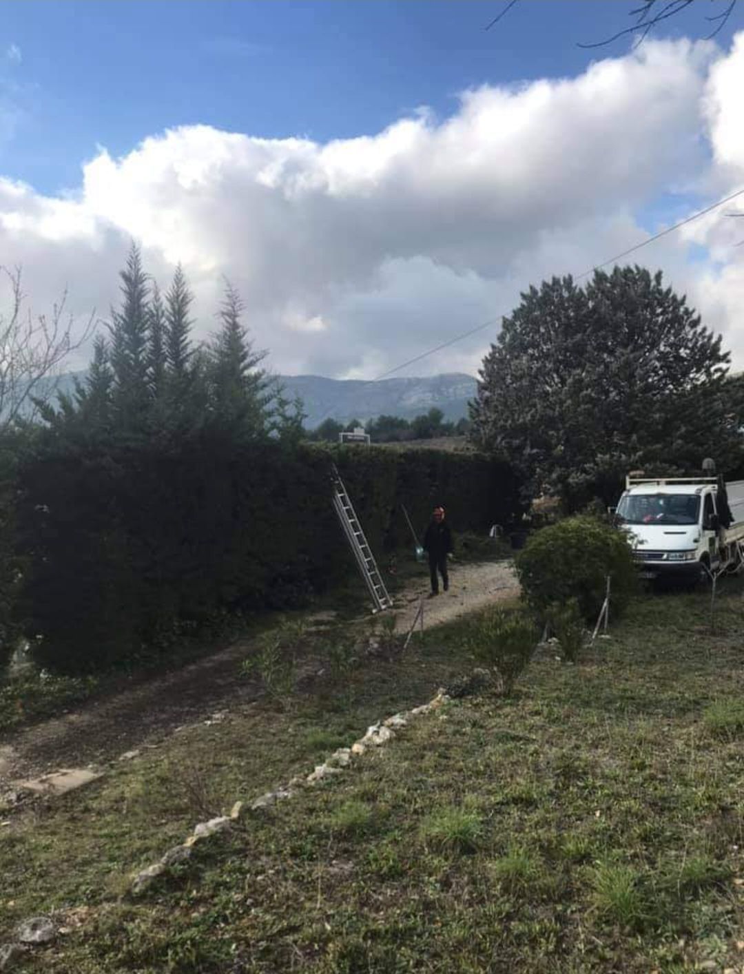 Taille d'une haute haie