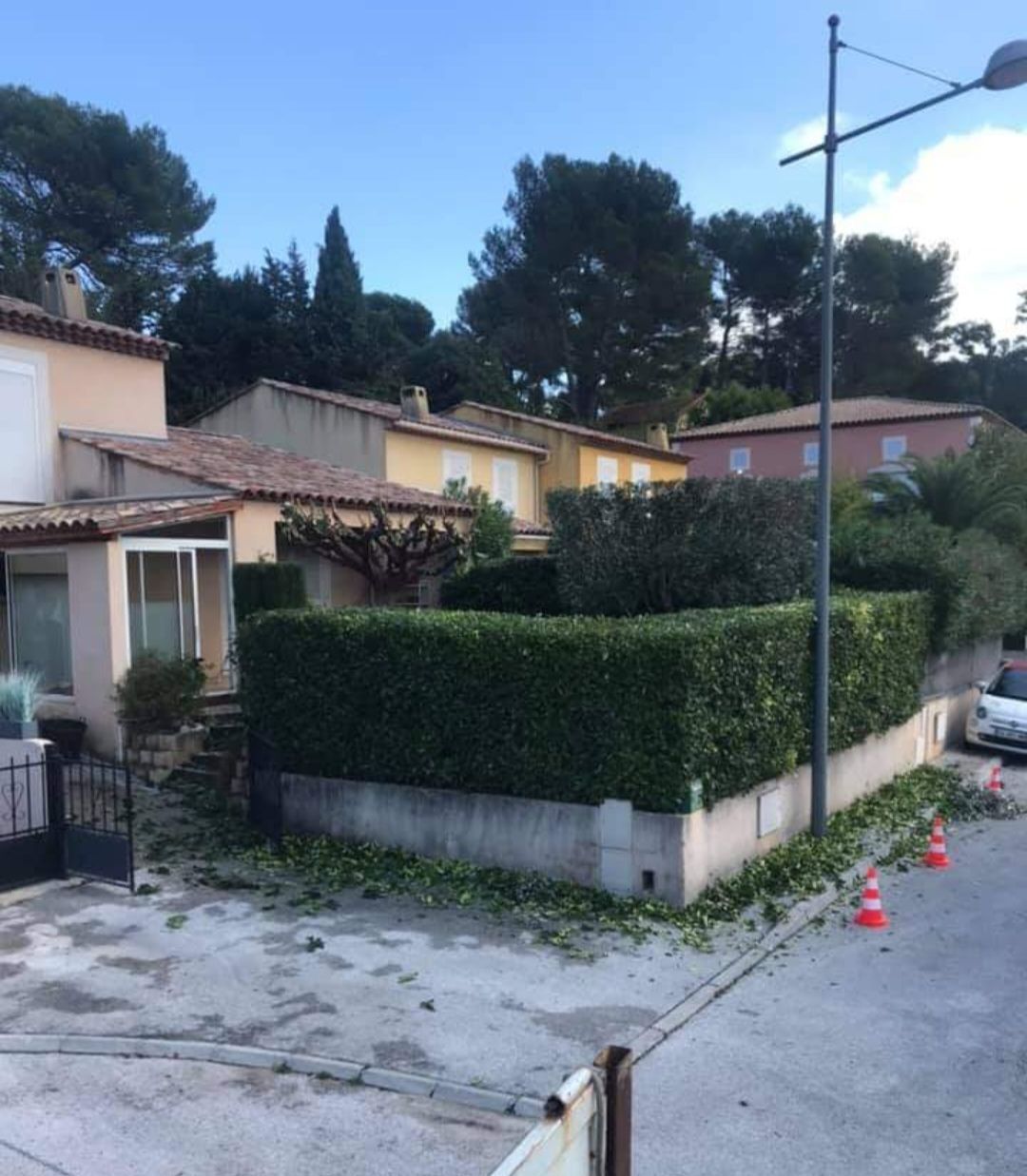 Haie taillée d'une maison de lotissement
