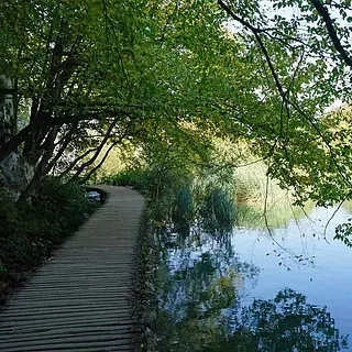 Un camino de madera que conduce a un cuerpo de agua rodeado de árboles.