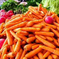 Un montón de zanahorias y rábanos con lechuga al fondo.