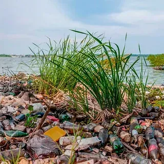 Hay mucha basura en el suelo cerca del agua.