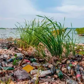 Hay mucha basura en el suelo cerca del agua.