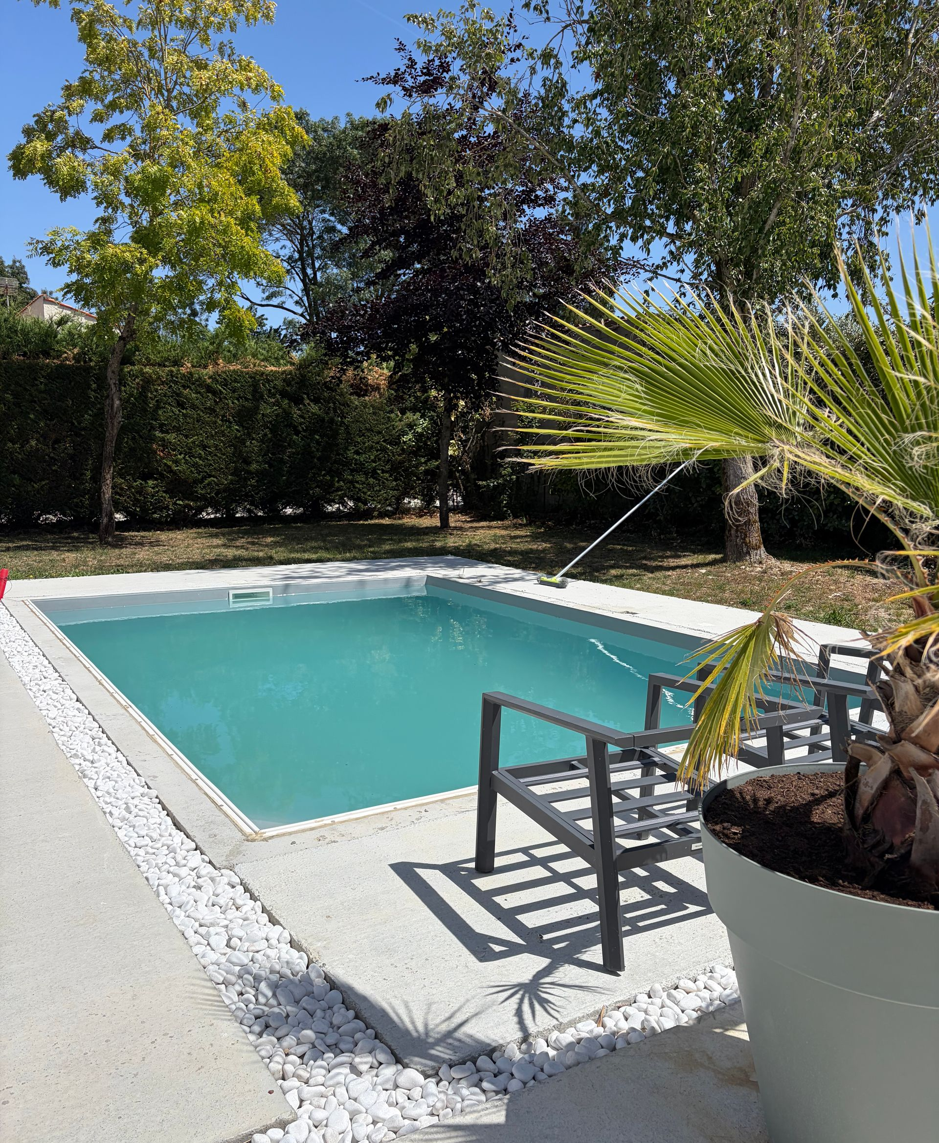 Piscine dans le jardin, à côté d'une chaise de patio et de palmiers en pot baignés de soleil.