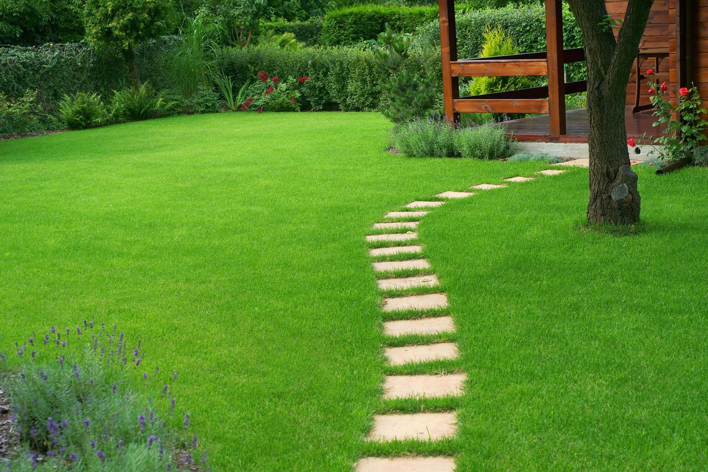 Un chemin traversant une pelouse.
