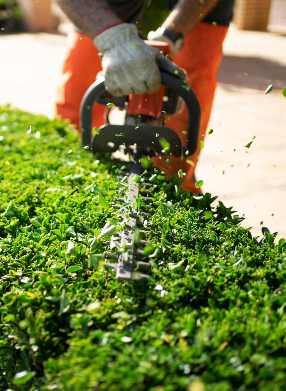 Une personne utilisant un taille-haie.