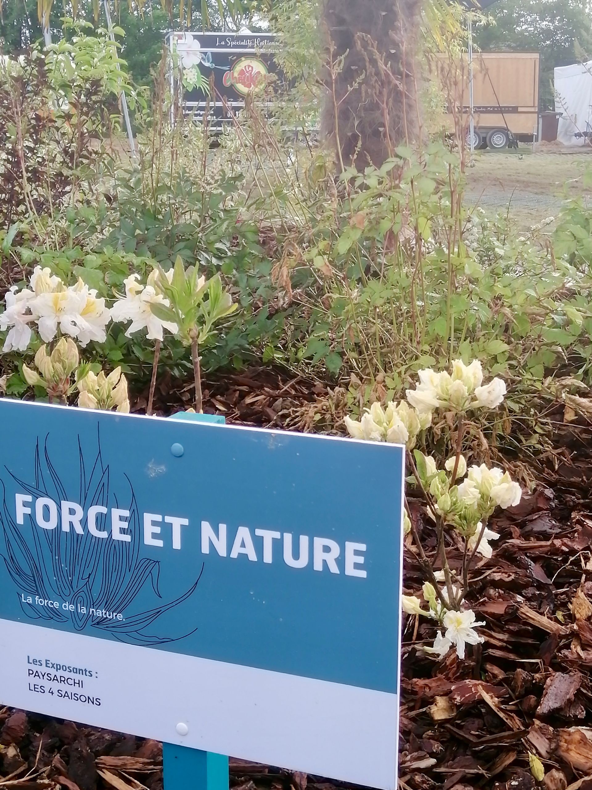 Un panneau bleu entouré de fleurs blanches.