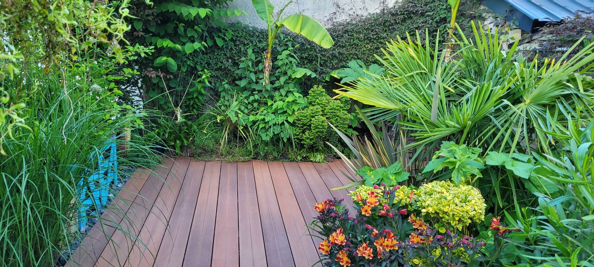 Une terrasse en bois avec des plantes.