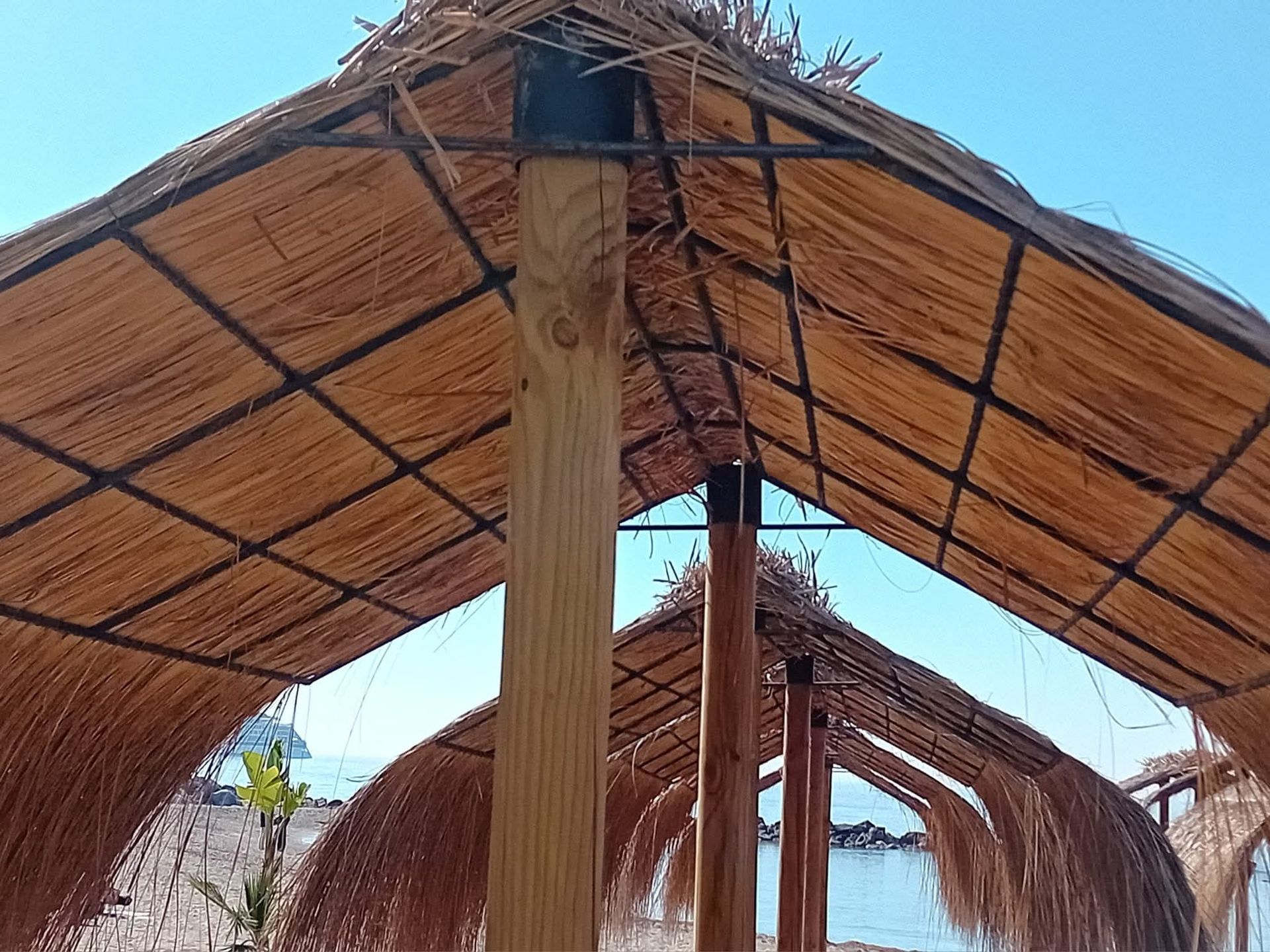 Una hilera de sombrillas de paja en una playa con un cielo azul de fondo.