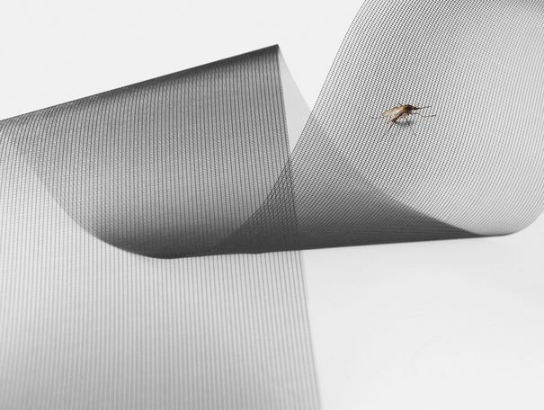 Insektenschutz - rido gmbh - Unterägeri