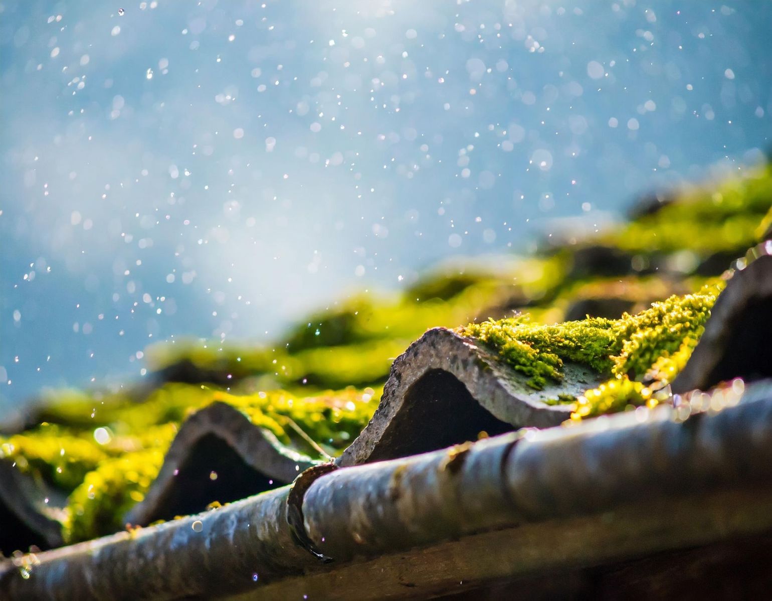 La pluie tombe sur un toit ondulé recouvert de mousse, avec un ciel d'un bleu éclatant en arrière-plan.