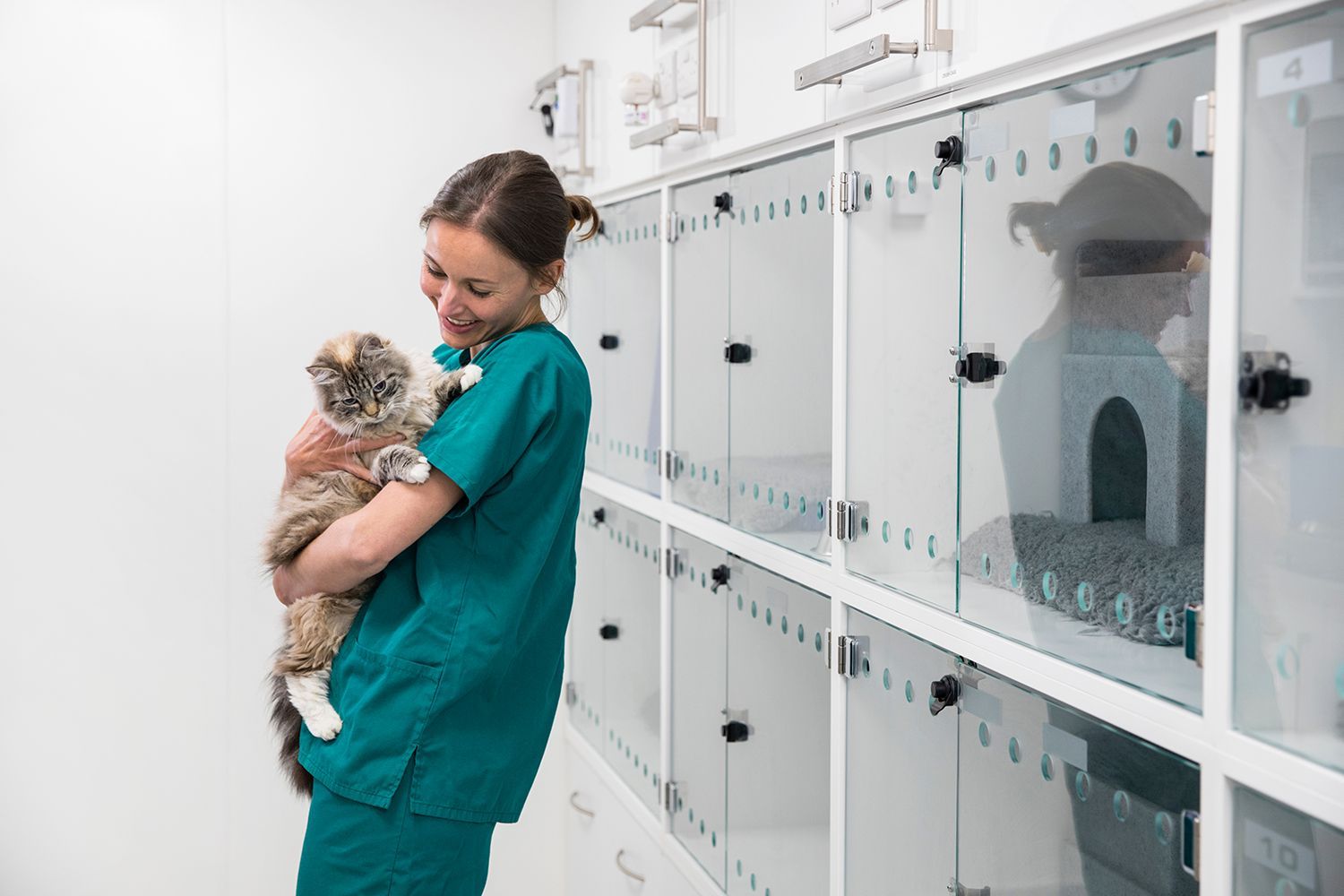 Servicios veterinarios integrales