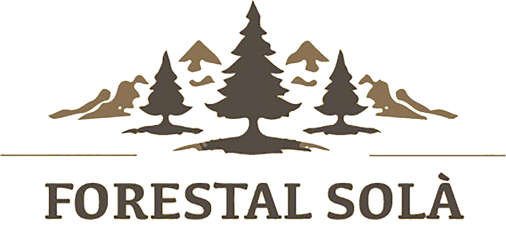 logotipo cabecera
