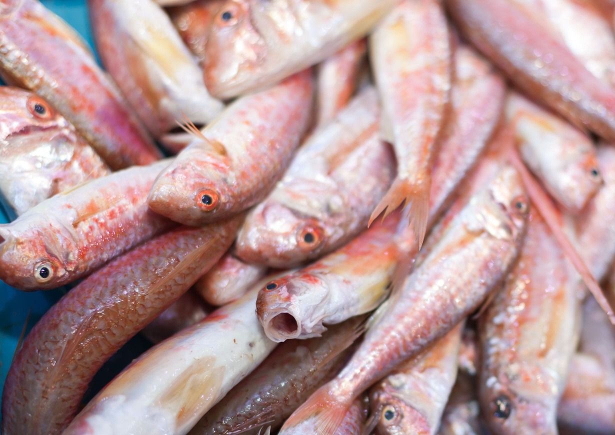 Un montón de peces están sentados uno encima del otro sobre una mesa.