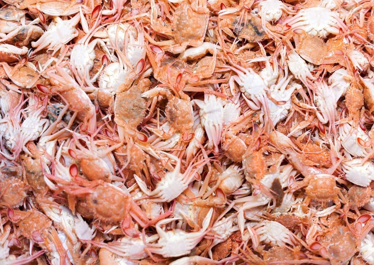 Una pila de cangrejos colocados uno encima del otro sobre una mesa.