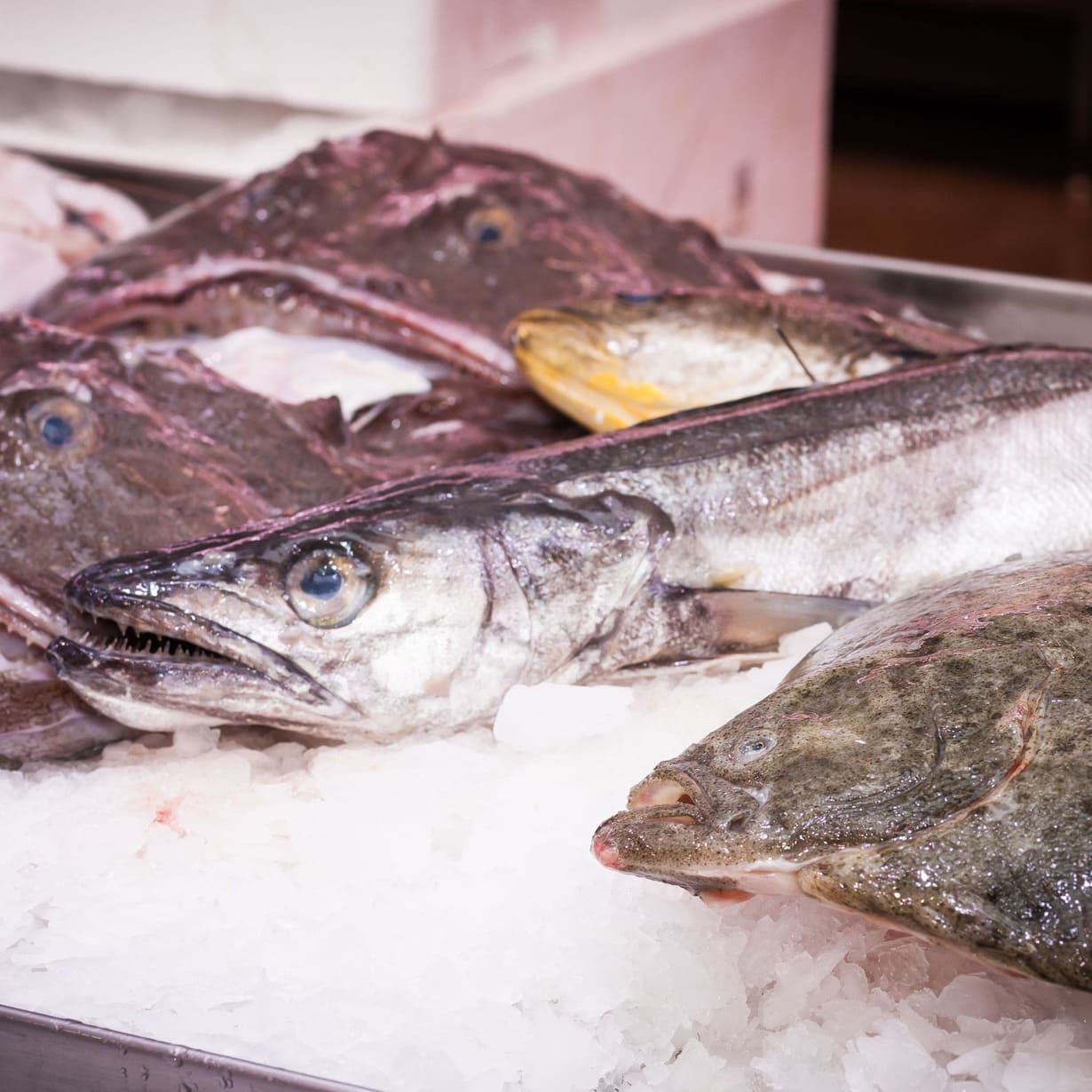 Un montón de peces están sentados encima del hielo.