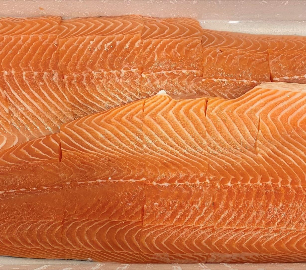 Un primer plano de un trozo de salmón en un recipiente de plástico.