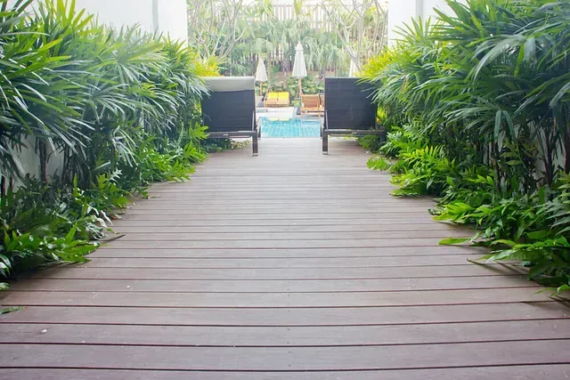 Una pasarela de madera que conduce a una piscina rodeada de plantas y sillas.