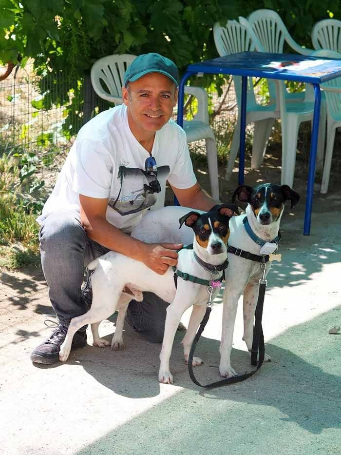 Un hombre está arrodillado junto a dos perros pequeños.