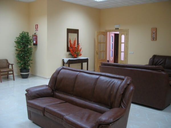 Una sala de estar con dos sofás de cuero marrón y una planta.