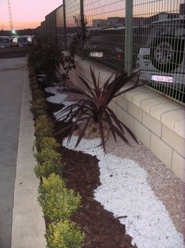 Un área cercada con algunas plantas y grava.