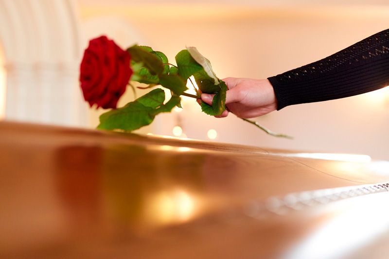 Una persona sostiene una rosa roja sobre un ataúd.