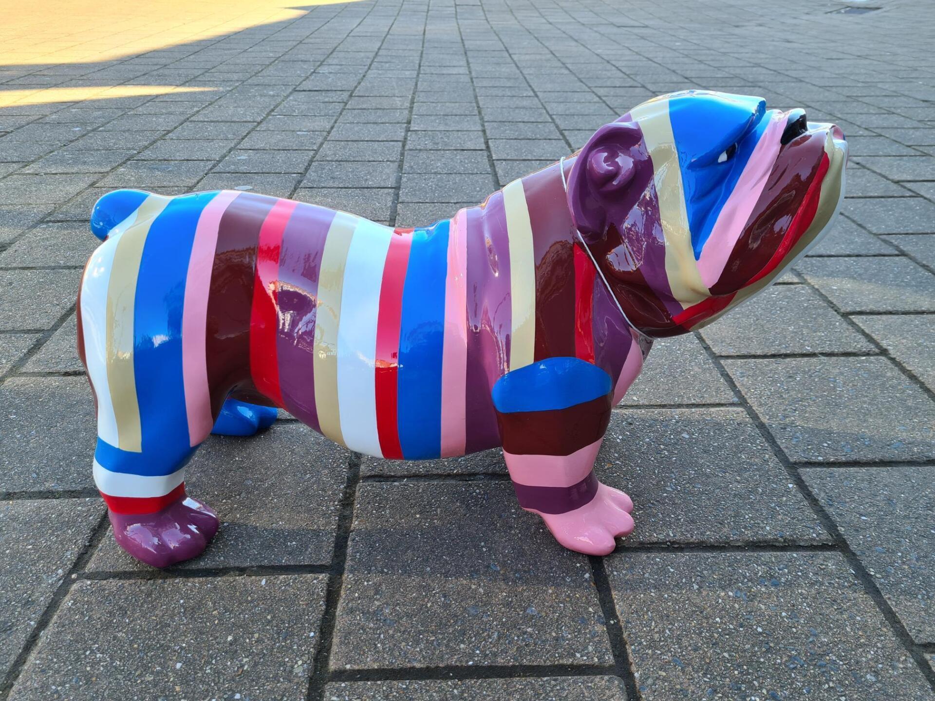 beeld gekleurde hond