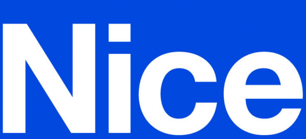 Logo Nice