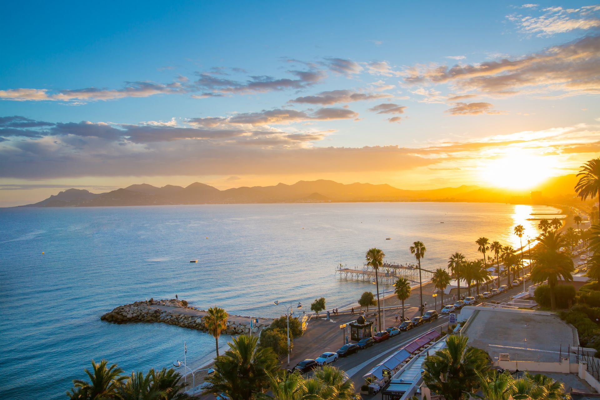 Port de Cannes avec des palmiers