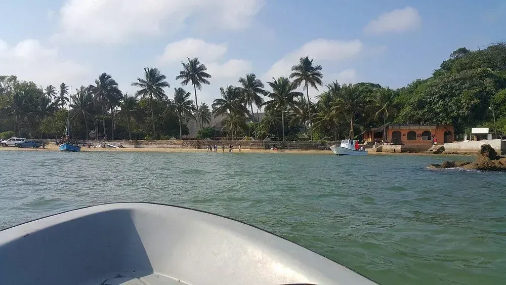 Um barco está na água perto de uma praia com palmeiras