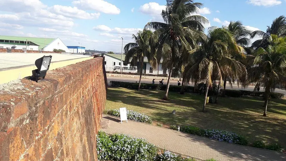 Uma vista de um parque com palmeiras e um edifício ao fundo.
