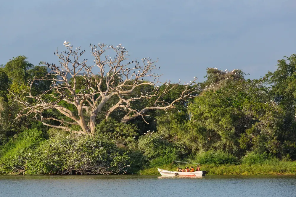 Um barco com pessoas dentro está flutuando em um lago cercado por árvores.