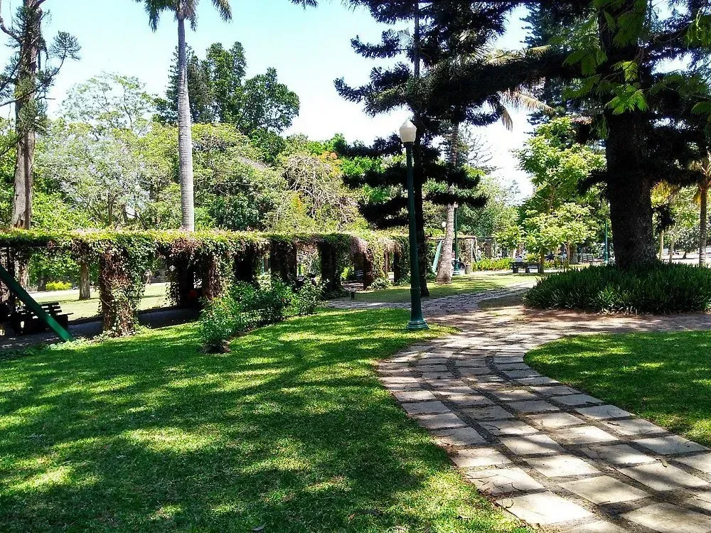 Um caminho em um parque cercado por grama e árvores