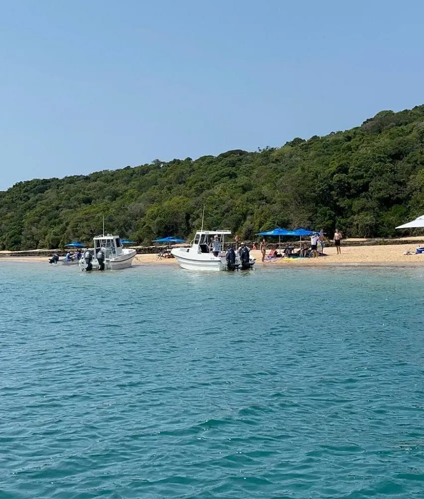Um grupo de barcos está na água perto de uma praia.