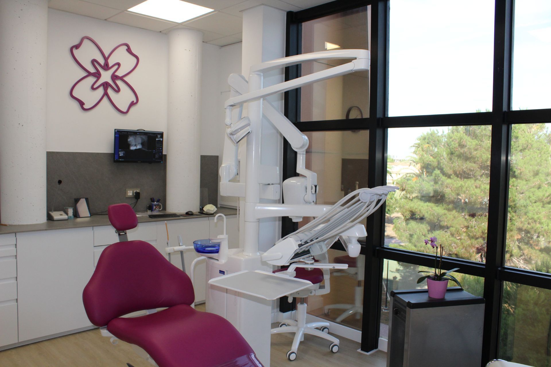 Un consultorio dental con una silla morada y una gran ventana.