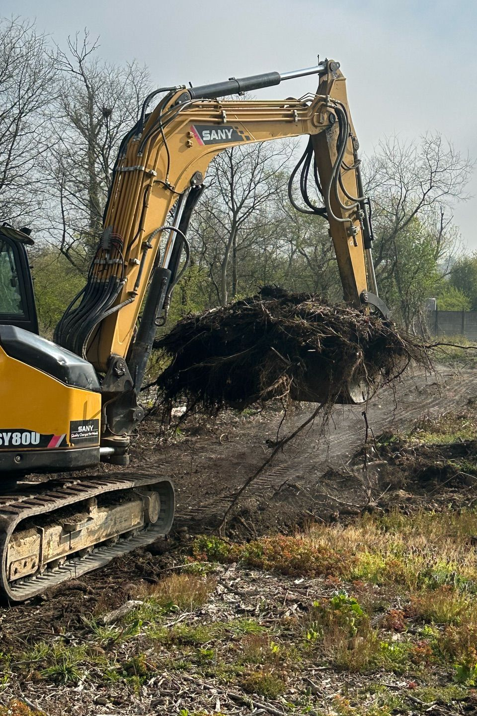 Une pelleteuse jaune soulève une grosse motte de racines dans un champ bordé d'arbres dénudés.