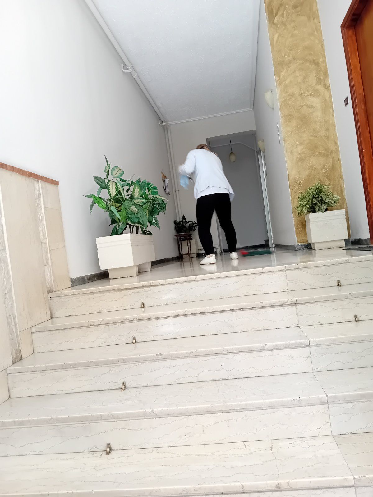 Φωτεινός εσωτερικός διάδρομος με γυαλιστερό πλακάκι δαπέδου που οδηγεί σε γυάλινη είσοδο και σε γλάστρες με φυτά σε κοντινή απόσταση