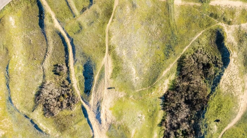 Vista aérea de un paisaje soleado y cubierto de hierba, con sinuosos senderos de tierra y zonas de arbustos oscuros.