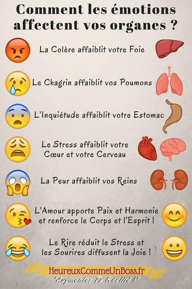 Liens entre les émotions et les organes