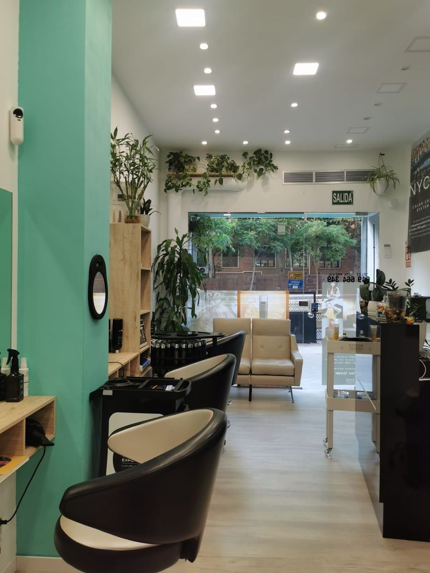 Interior de una peluquería, pared con acento color aguamarina y plantas. Vista a una zona exterior.