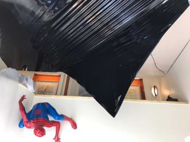Spider-Man escaladant un mur sous un drapé noir dans une pièce intérieure