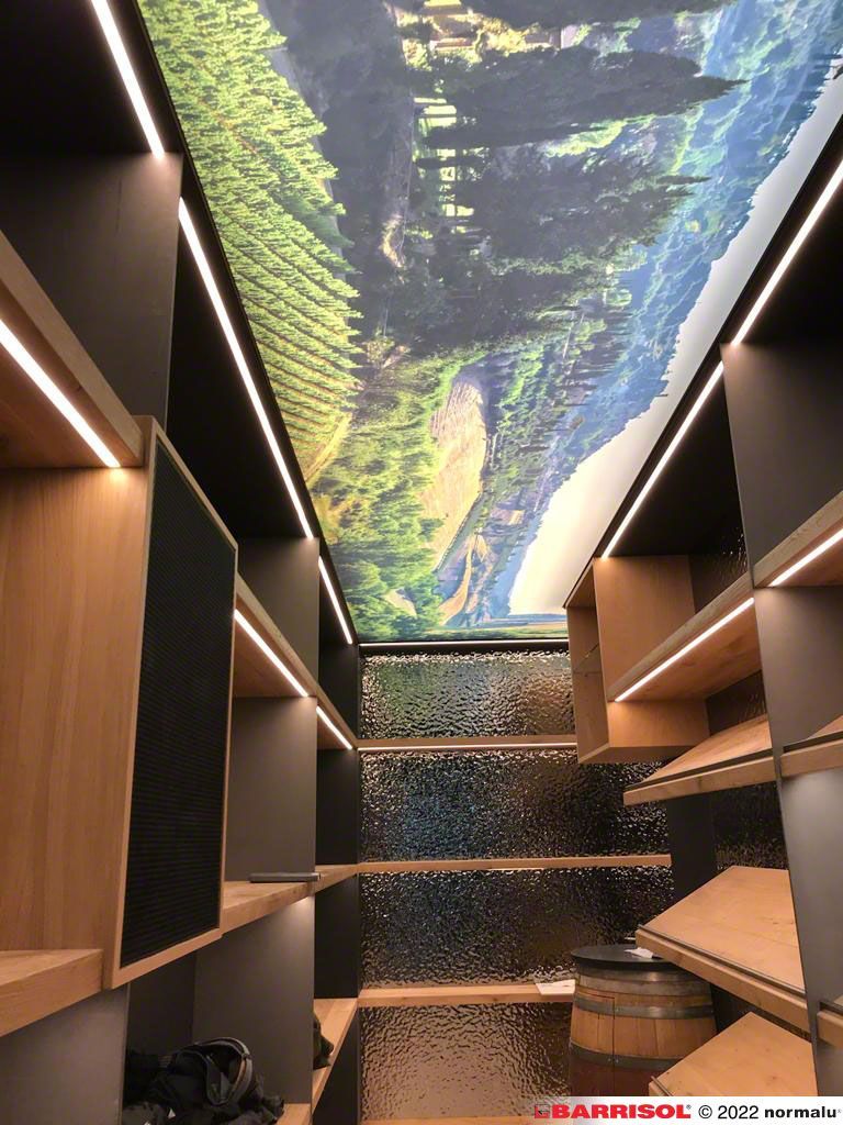 Chambre étroite et moderne avec étagères en bois et une fresque au plafond représentant une forêt et une rivière.