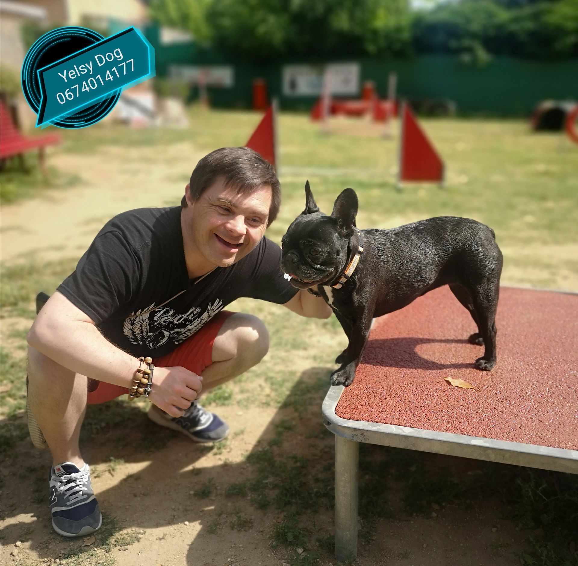 Petit chien sur une rampe