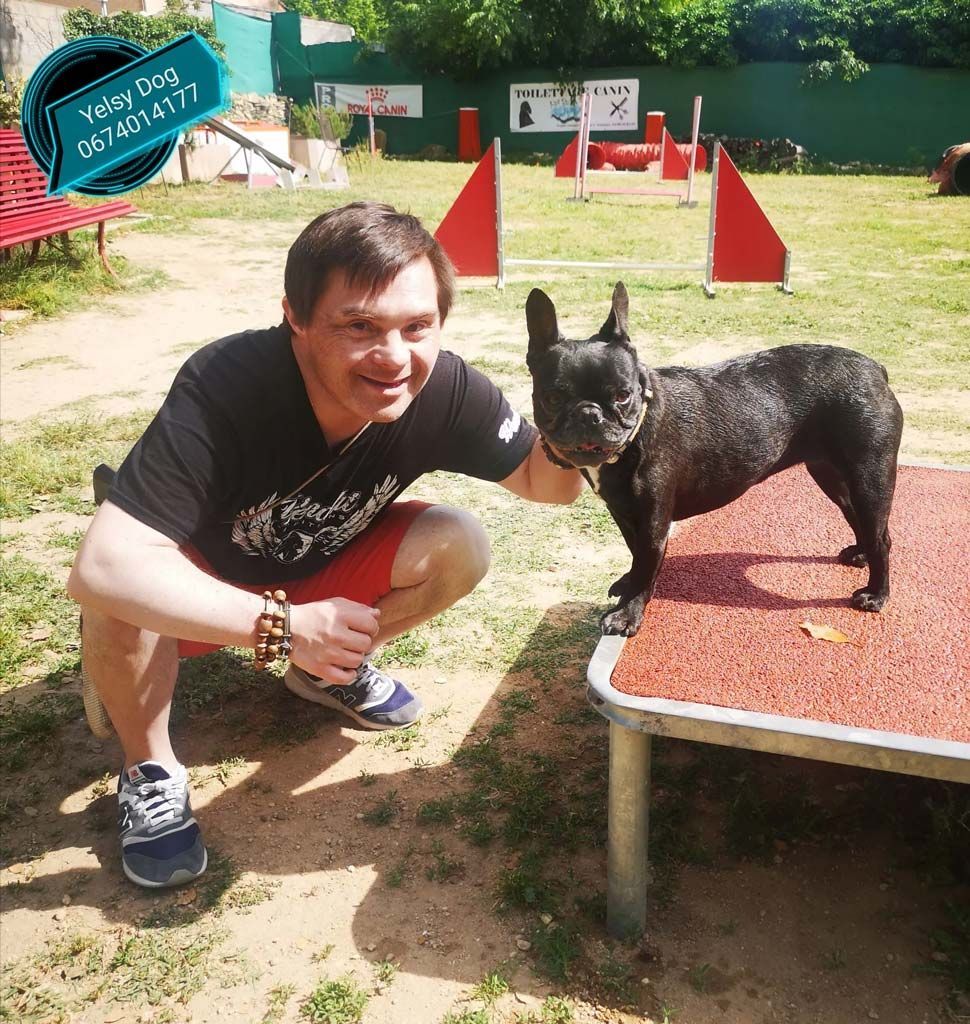 Petit chien sur une rampe