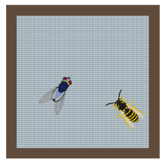 Insektenschutz