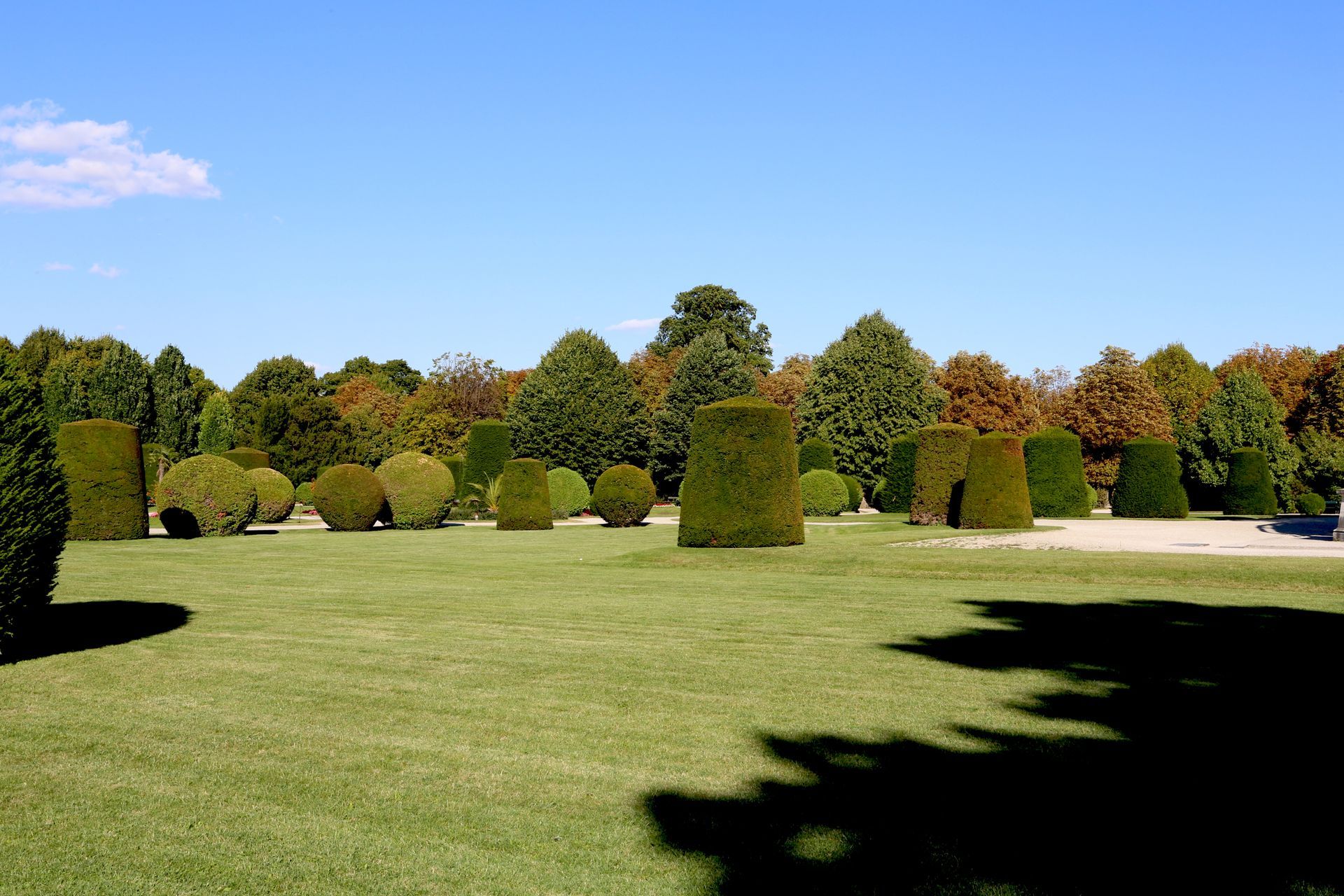 Une grande pelouse verte bien entretenue, bordée de haies de formes variées, sous un ciel bleu limpide.