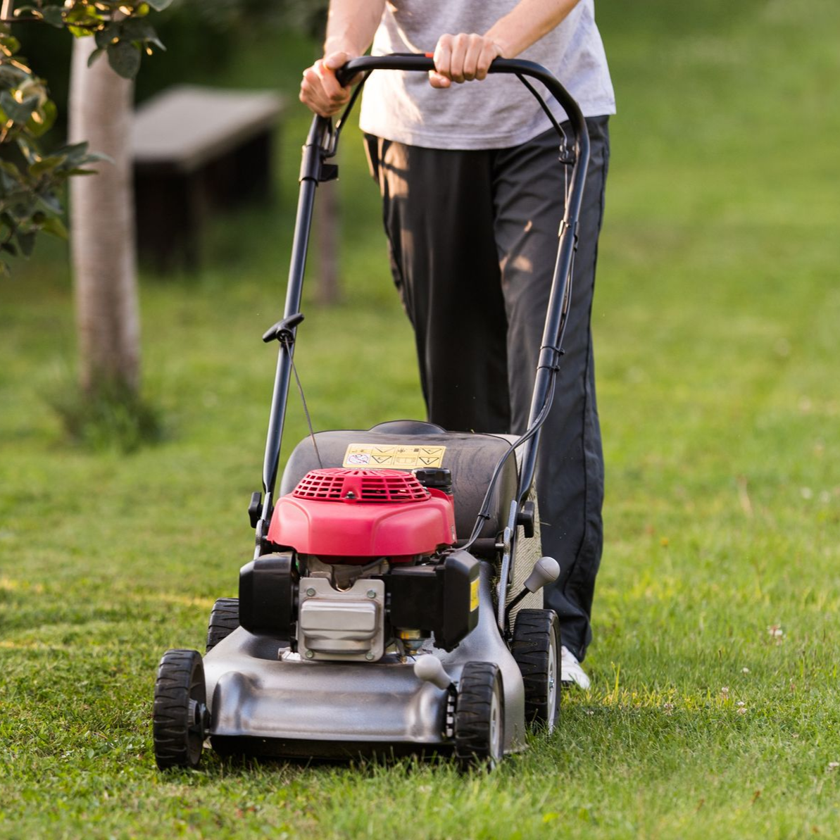 Par une journée ensoleillée, une personne pousse une tondeuse à gazon argentée à essence, avec un capot moteur rouge, sur une pelouse verte.