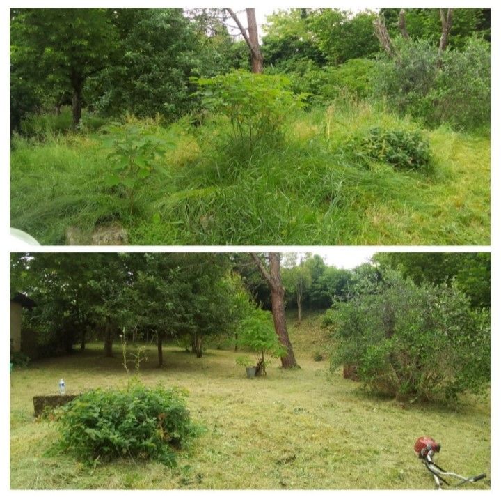 Photos avant/après d'un jardin, montrant une zone herbeuse débarrassée des hautes herbes envahissantes à l'aide d'une débroussailleuse.