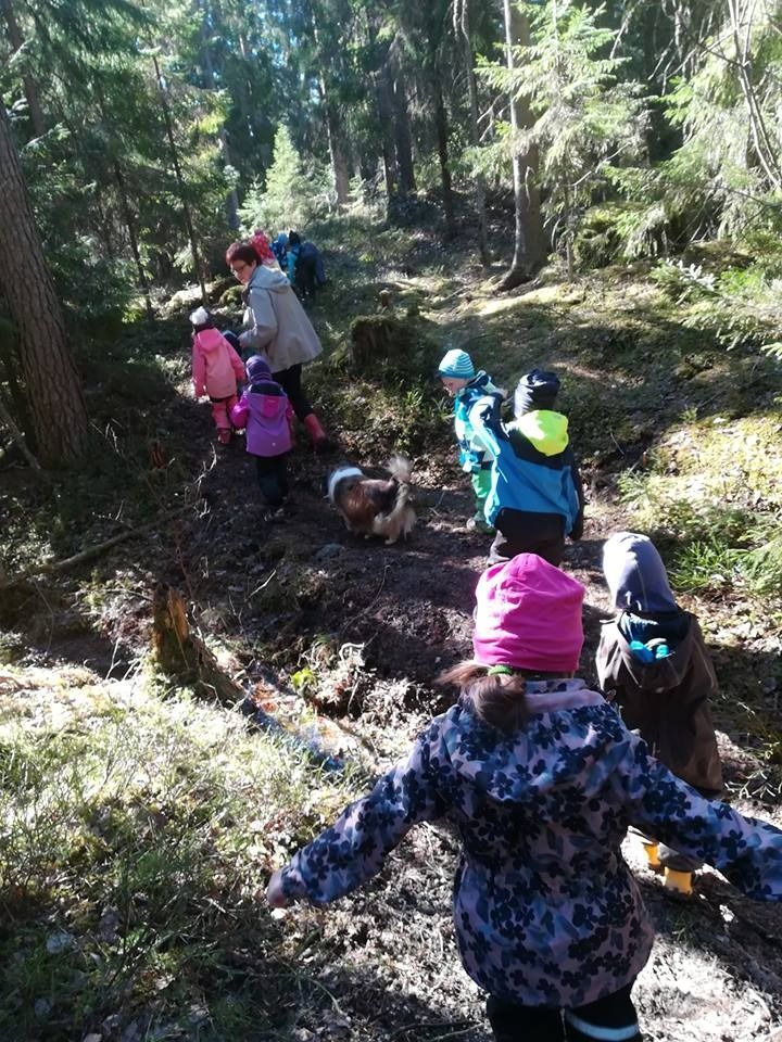 Lapset vaeltavat metsäpolkua pitkin värikkäät reput päässään aurinkoisella metsäalueella
